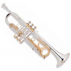 Bb Trumpet Professional